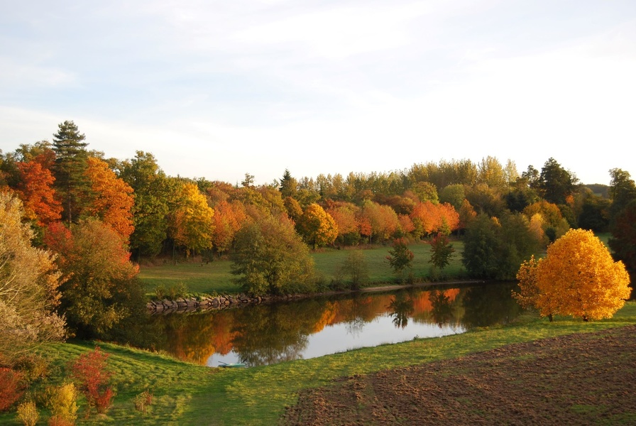 PARC ET JARDINS DU CHÂTEAU DE TOURNELAY