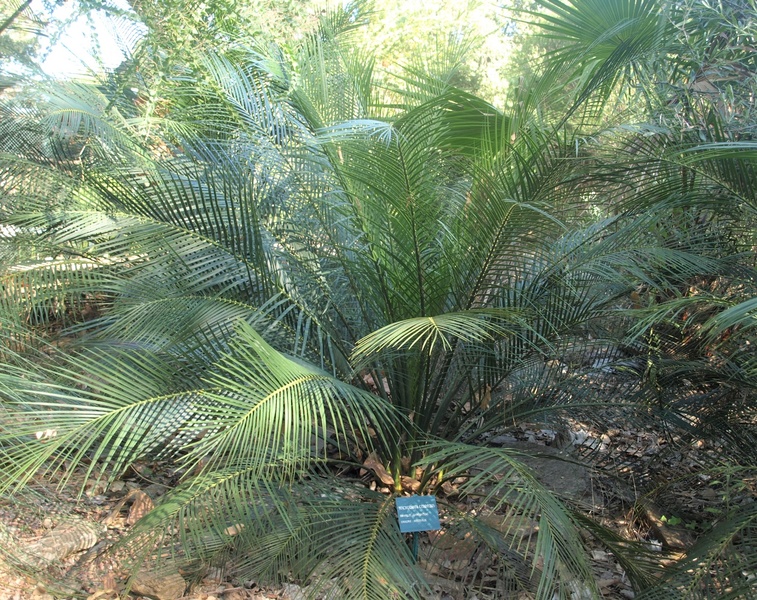 Jardin Zoologique tropical
