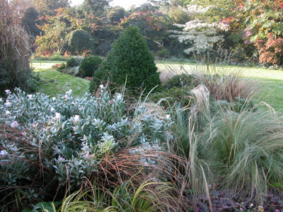 LE JARDIN DE SYLVIE FONTAINE