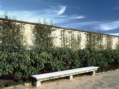 POTAGER DU ROI - ECOLE NATIONALE SUPÉRIEURE DU PAYSAGE