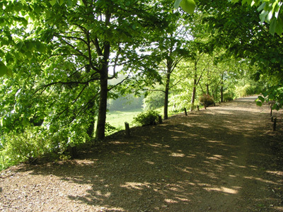 ARBORETUM DU CHEMIN DE LA DECOUVERTE