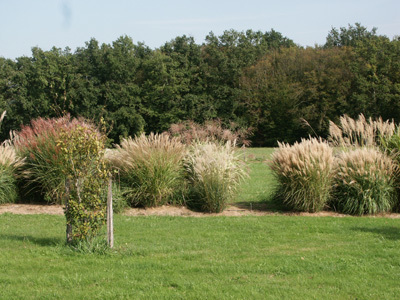 ARBORETUM DE PODESTAT