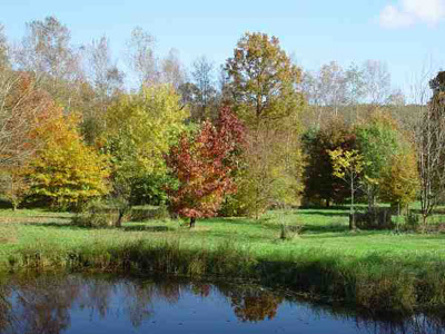 ARBORETUM DE BOISCORDE