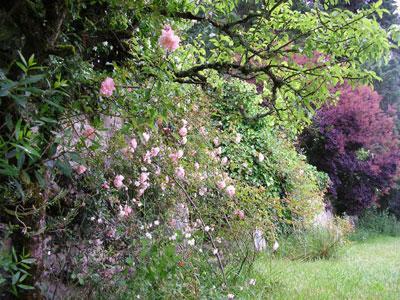 Au jardin de Montfleuri