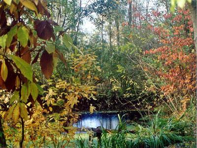 Arboretum du Chêne-Vert