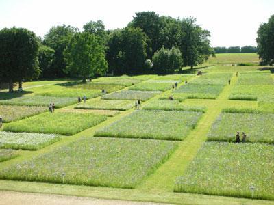 PARC DU CHÂTEAU DE VALENÇAY