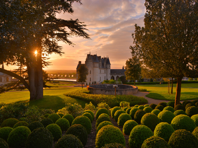 JARDIN DU CHÂTEAU ROYAL D'AMBOISE