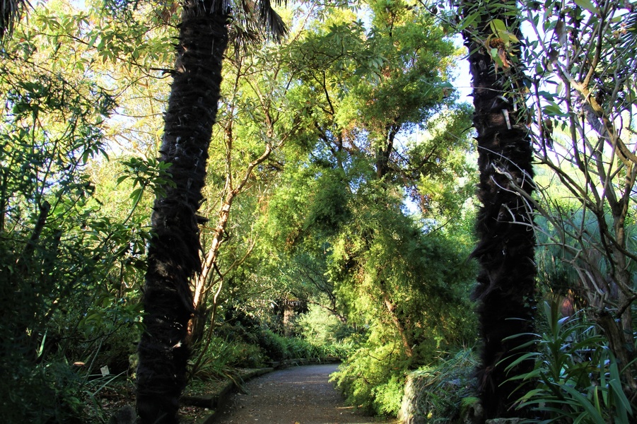 JARDIN EXOTIQUE ET BOTANIQUE DE ROSCOFF