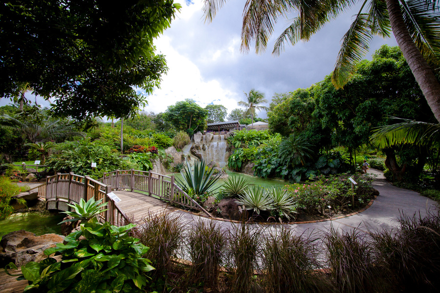 JARDIN BOTANIQUE DE DESHAIES