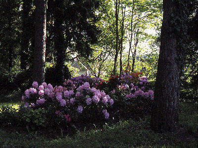 PARC DU CHÂTEAU D'ACQUIGNY