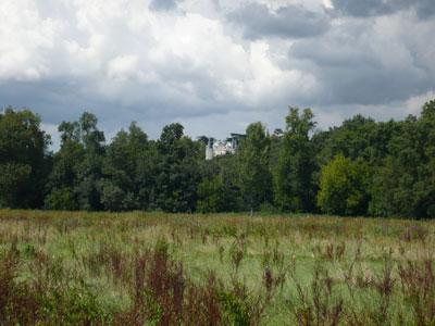 Parcours botanique au fil de l'Indre