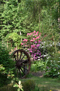 JARDIN DU BOIS FLEURI