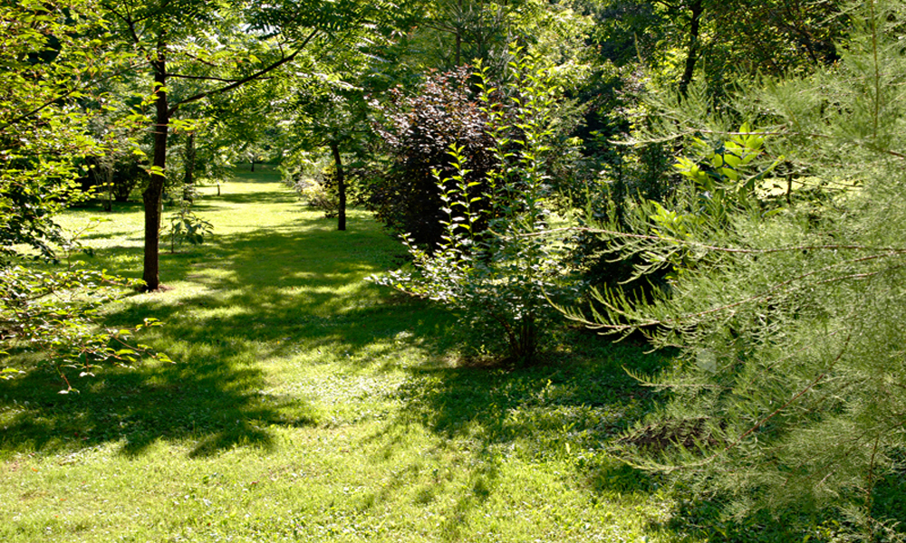 Parc à l'Anglaise la cude