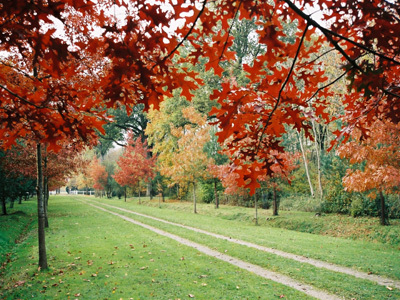 PARC DU CHÂTEAU DU MARTREIL