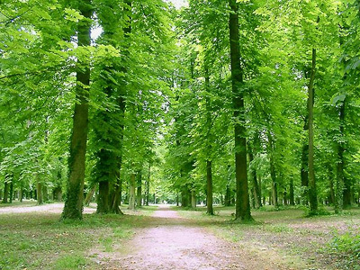 PARC DE LA COLOMBIÈRE