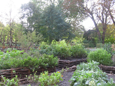 JARDINS DE L'ABBAYE DE ROYAUMONT