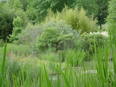 Jardin d'eau de l'Aubépré