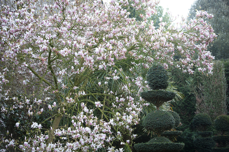 JARDINS DU CHÂTEAU DE LA BALLUE