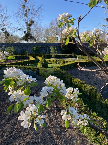 JARDINS DE LA CROZE