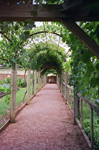 JARDIN D'EDEN DU CHÂTEAU DU COLOMBIER