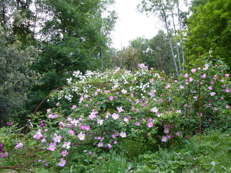 JARDINS DU CHATEAU DU PIN