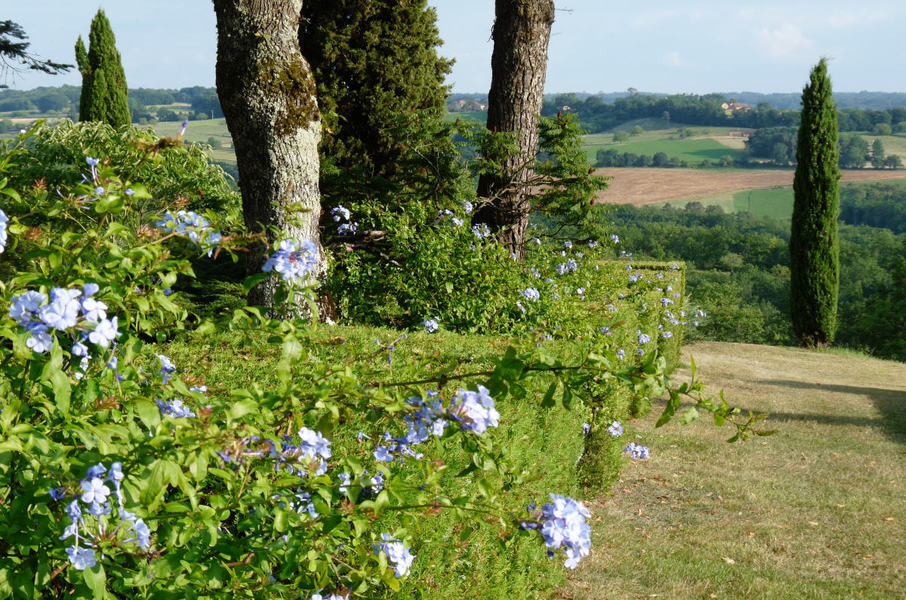 Chartreuse de Conty