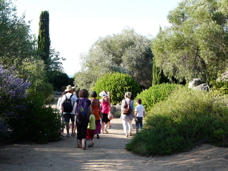 PARC DE SALECCIA