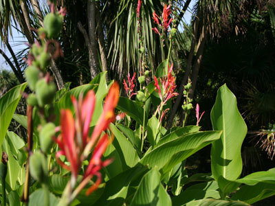 JARDIN BOTANIQUE DE VAUVILLE