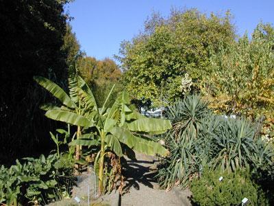 JARDIN BOTANIQUE DE LA VILLE DE CLERMONT-FERRAND