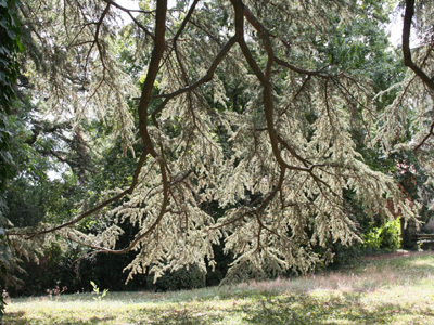 JARDINS DE LA CROZE