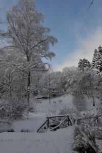 PARC ARBORETUM DE SAINT-SETIERS