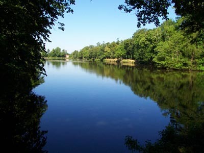 PARC DU CHÂTEAU DE LA GUIGNARDIÈRE