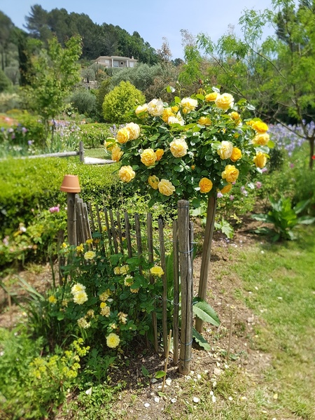 LES JARDINS DU MUSÉE INTERNATIONAL DE LA PARFUMERIE