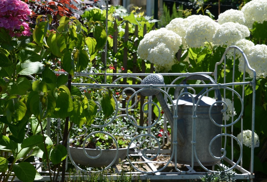 JARDIN DU GRAND CHARME