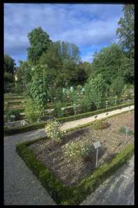 JARDIN DE L'ARQUEBUSE