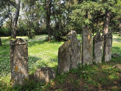 Parc du Château d'Espeyran