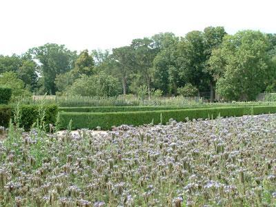 JARDINS DU CHÂTEAU DE TALCY