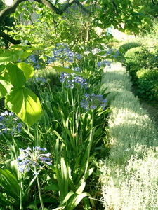 JARDIN DE LA VILLA FORT FRANCE