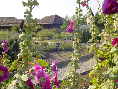 LES JARDINS PÉDAGOGIQUES DU MUSÉE DU PAYS DU DER