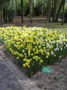 PARC DE CHAMPAGNE