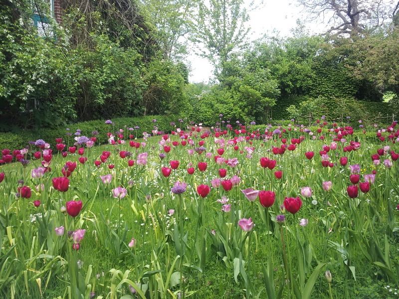 JARDIN DU MONT DES RECOLLETS