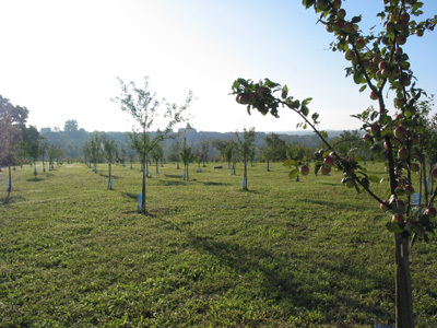 LES JARDINS DE LA BIGOTIE