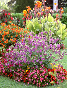 JARDINS DE L'EVECHE - SQUARE BRESSOLLES