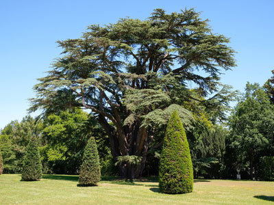 PARC DU CHÂTEAU DE FONTAINE LA SORET