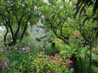 Le Jardin de Brigitte