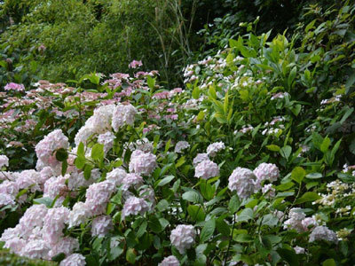 Jardin du Clos des Cèdres