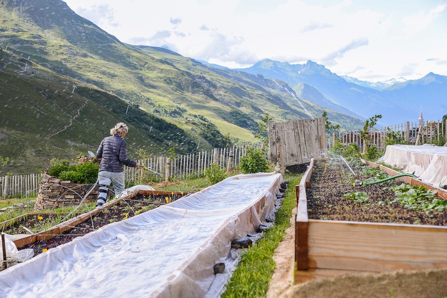 Jardin en permaculture de Chez Pépé Nicolas