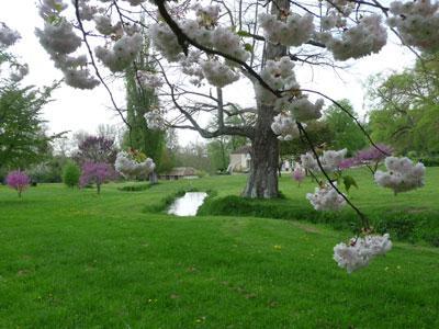 Arboretum de Segrez