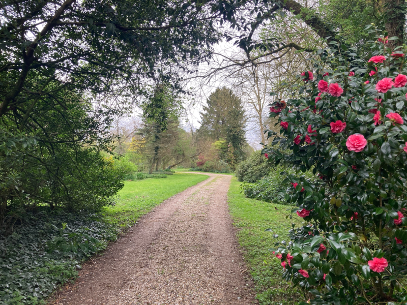 LE CLOS de CHANCHORE- Jardin Botanique