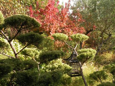 Le jardin du fond de l'or